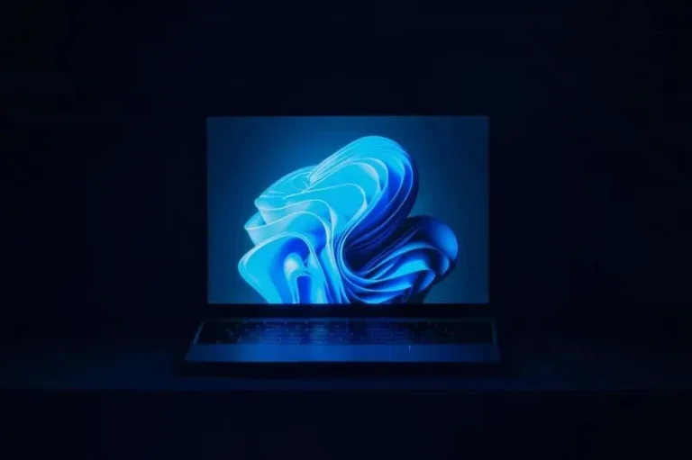 Обновление Windows 11 24H2: проблемы с SSD и HDD